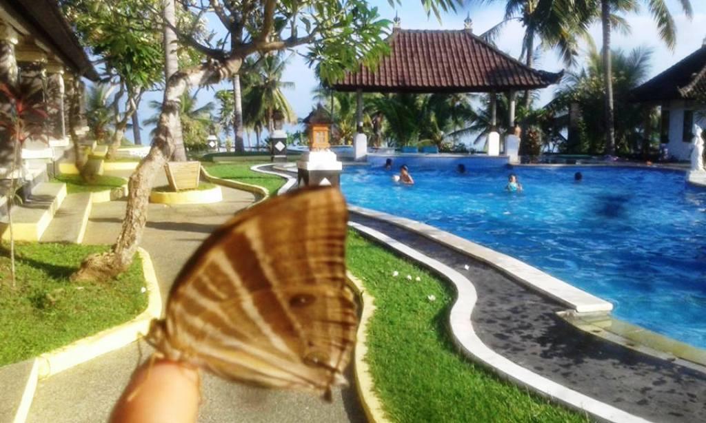 Bali Sunset Hotel Negara  Extérieur photo